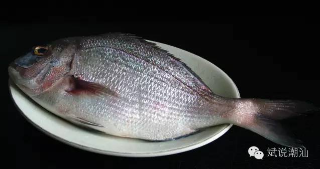 pg电子试玩